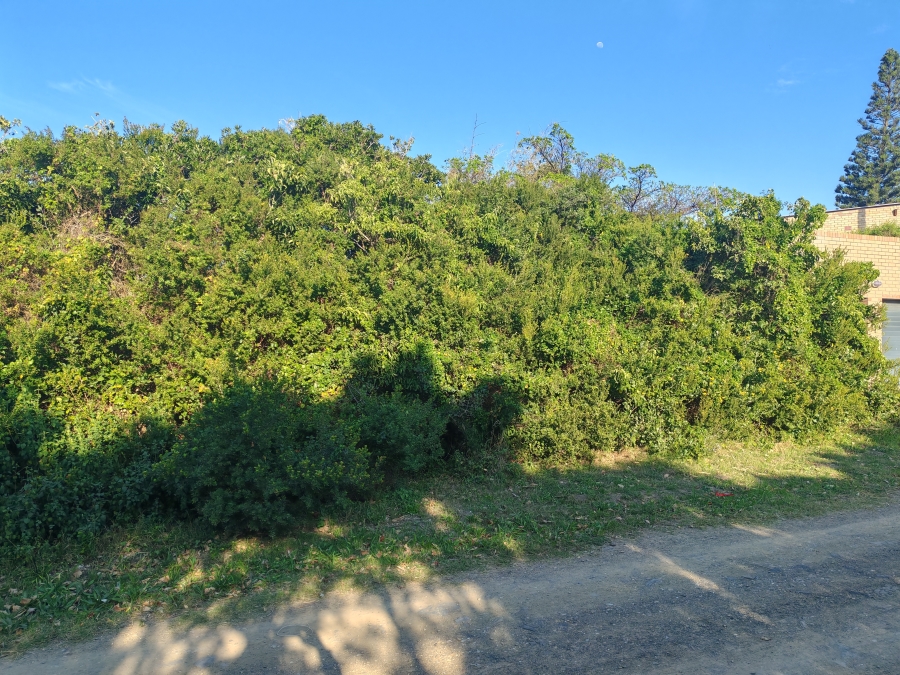 0 Bedroom Property for Sale in Boknesstrand Eastern Cape